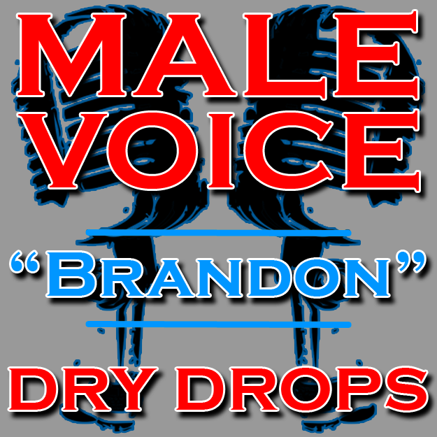 Custom DJ Drops - Male Voice, Brandon